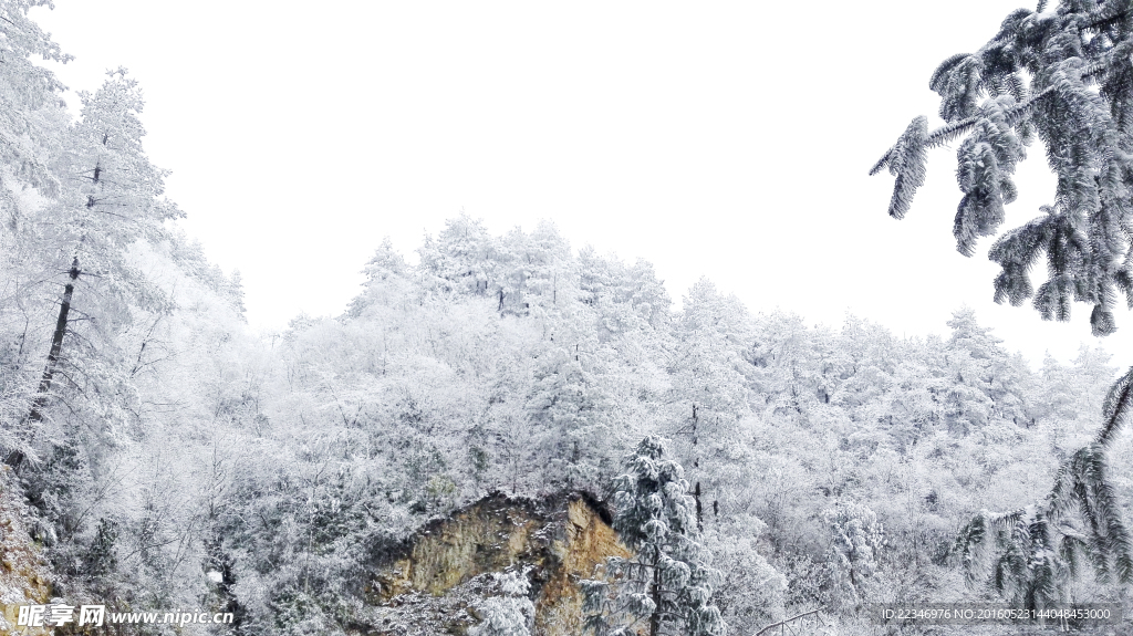 雷公山