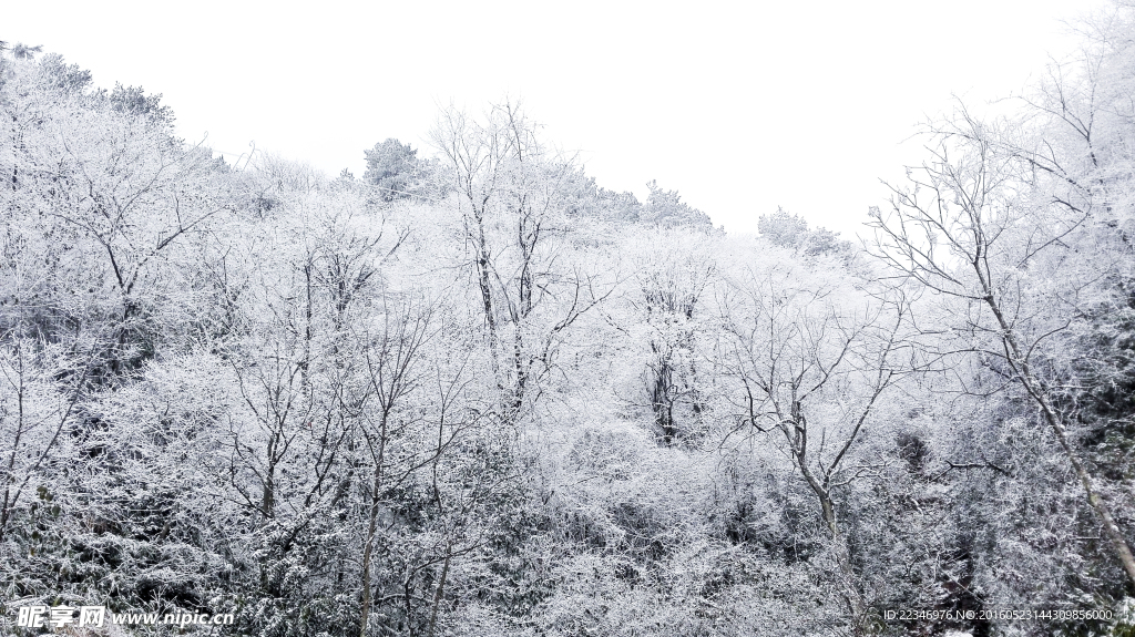 雪景