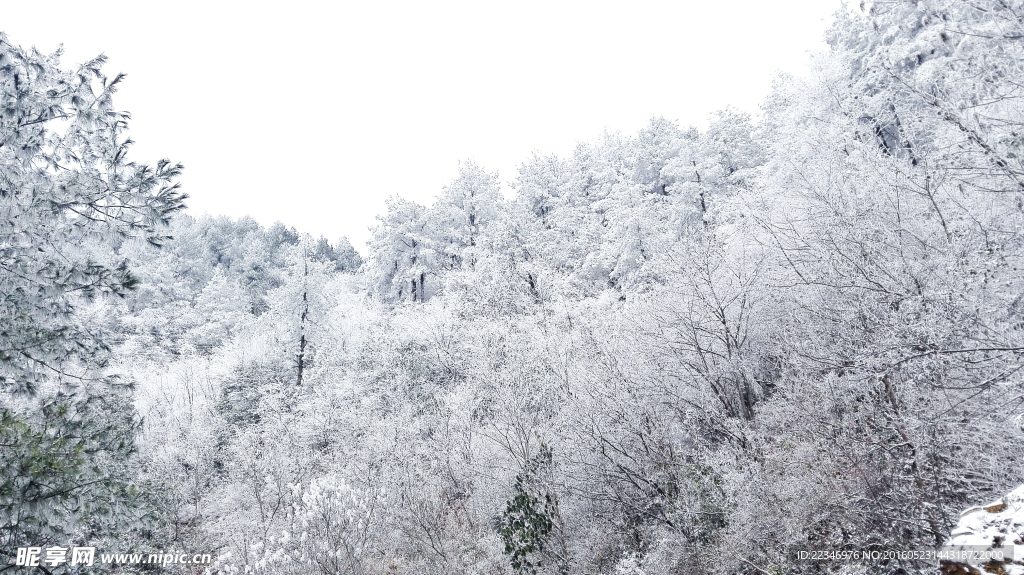 雪景