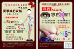 寇氏减肥单页彩页
