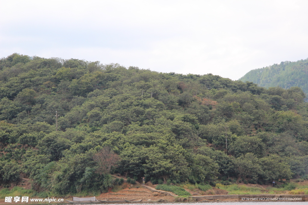 山水