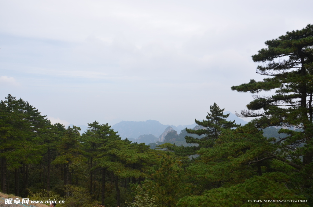 黄山