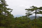 黄山