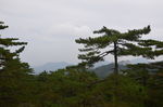 黄山