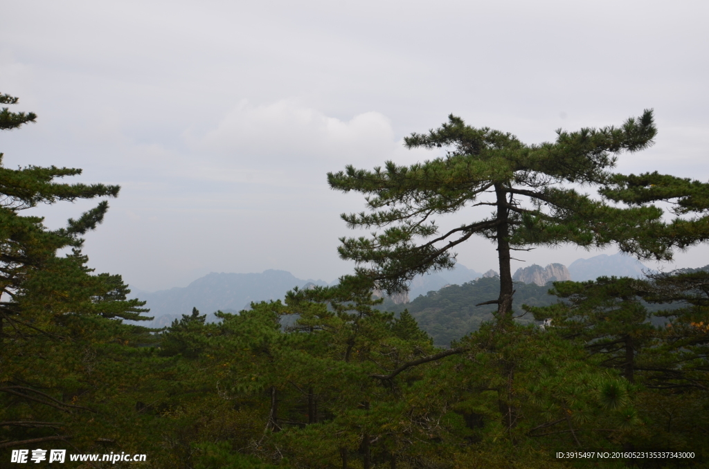 黄山
