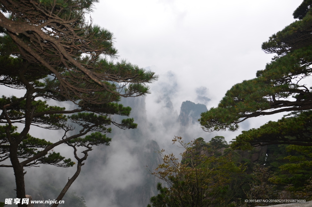 黄山