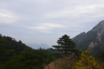 黄山