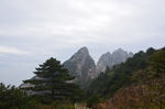 黄山