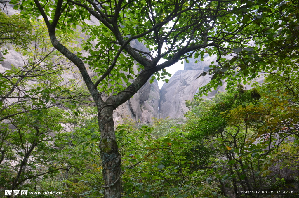 黄山