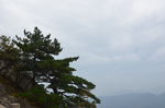 黄山