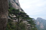 黄山
