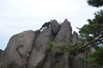 黄山
