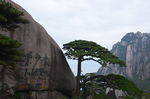 黄山