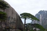 黄山