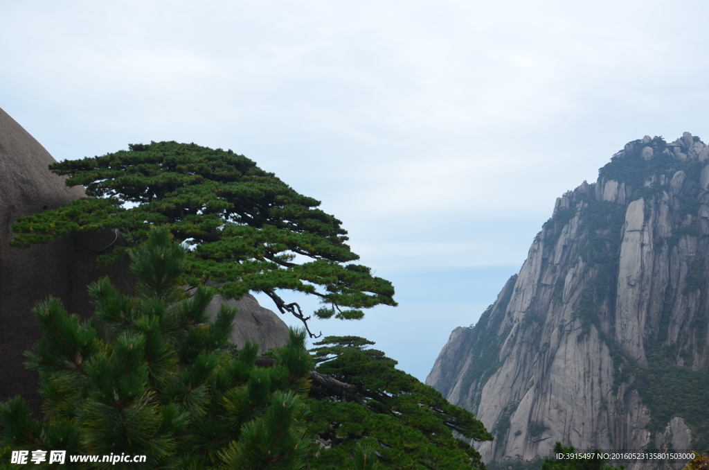 黄山
