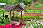 泰国万花园