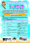 滑雪训练营宣传单