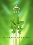 无限极
