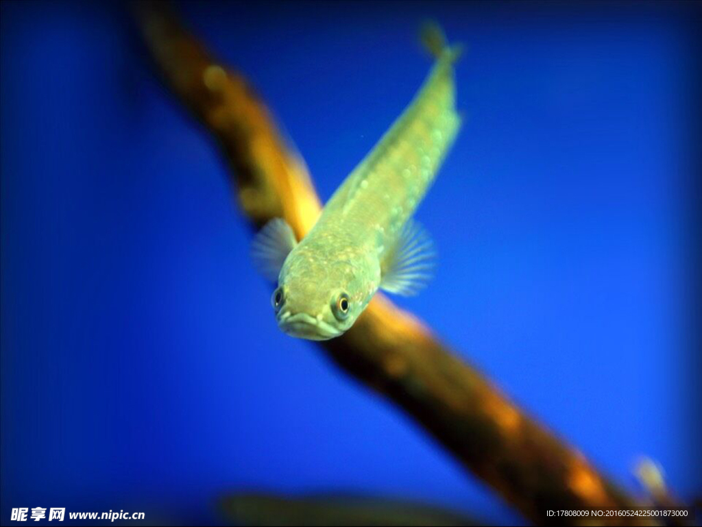 海洋水族馆