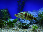 海洋水族馆