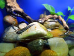 海洋水族馆