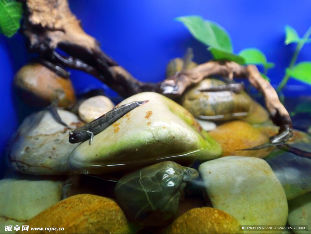 海洋水族馆