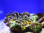 海洋水族馆