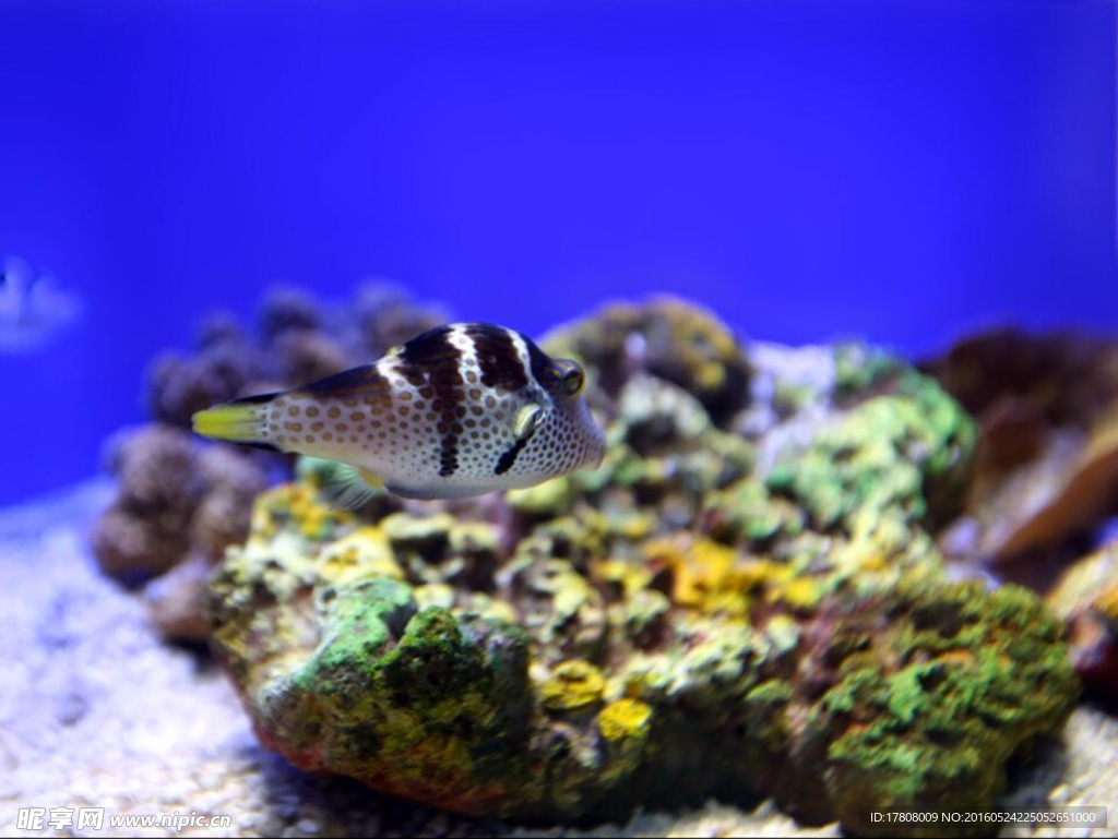 海洋水族馆