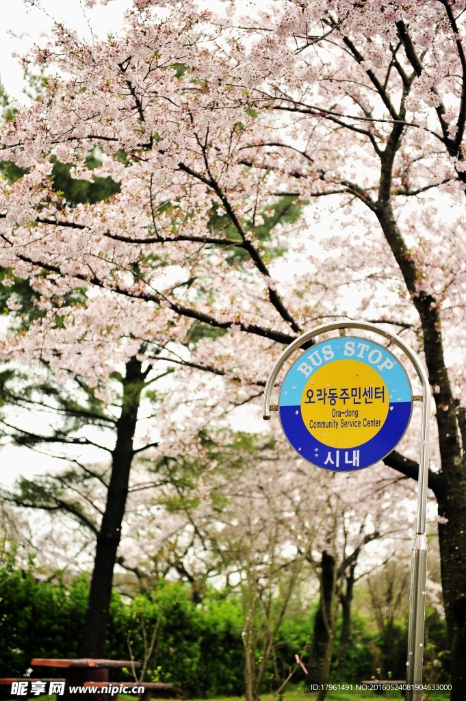 济州岛
