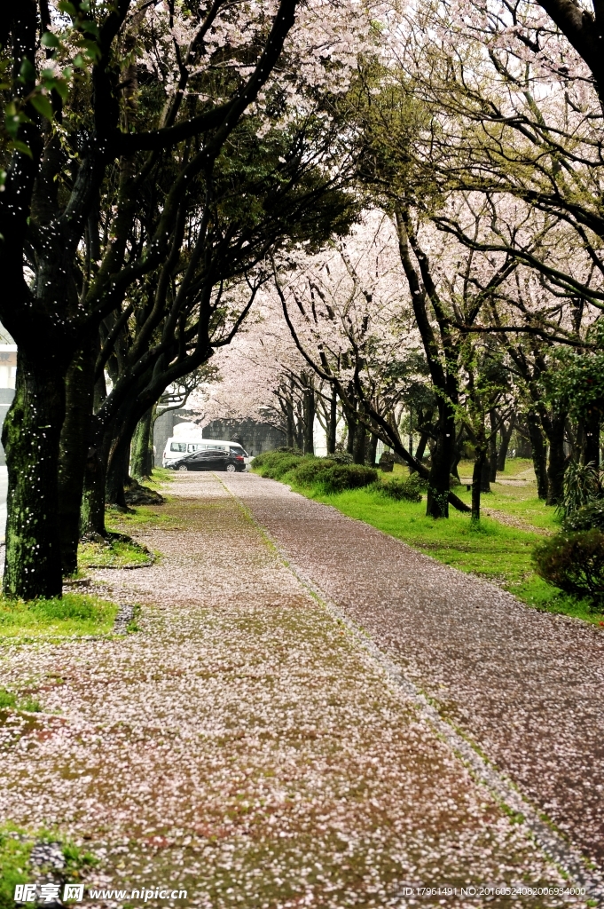 济州岛