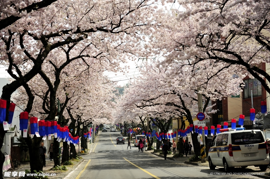 济州岛