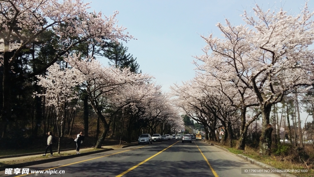 济州岛