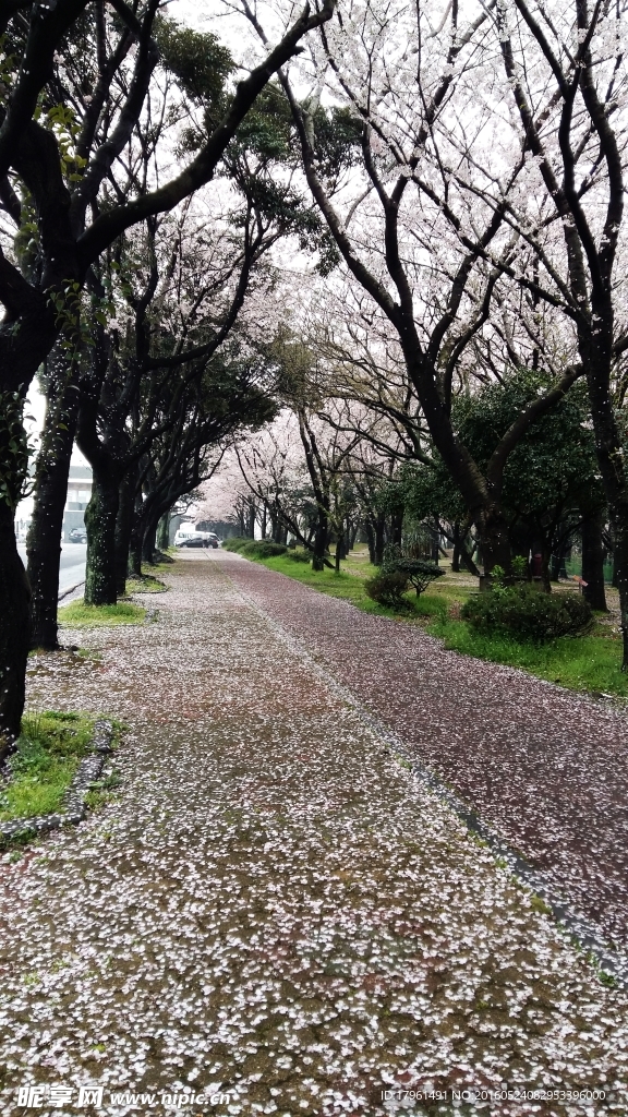 济州岛