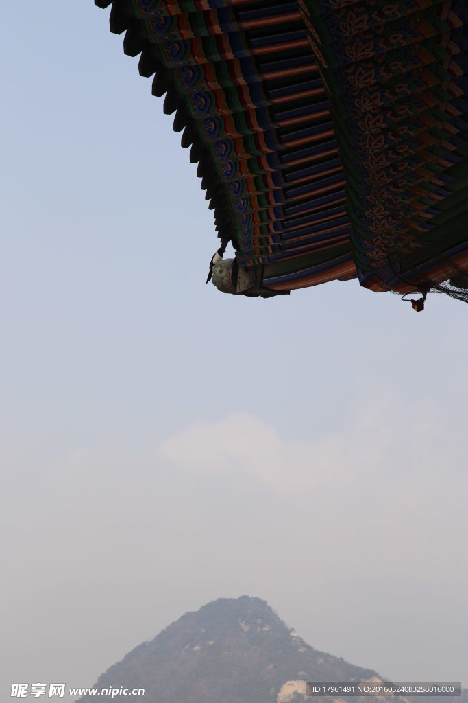 济州岛