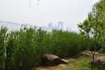 金鸡湖