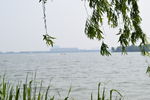 金鸡湖