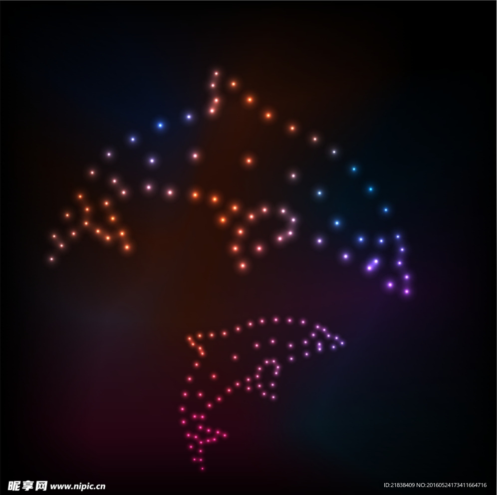 美丽星空海豚