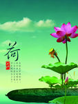 荷花风景素材图库