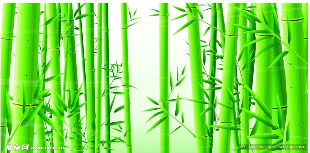 夏天背景