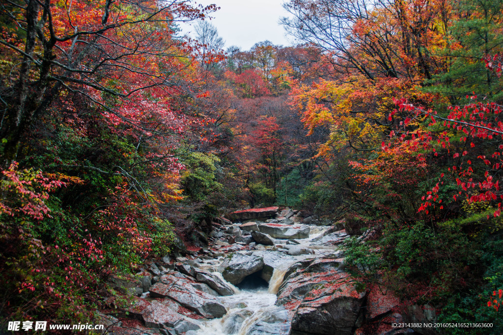 秋季光雾山