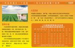纤佳乐海报