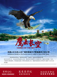 鹰击长空