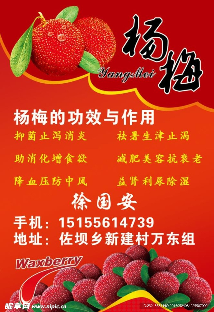 杨梅