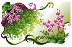 绿色叶子铃兰花 商业背景