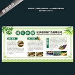 端午小报