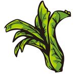 蔬菜 青菜