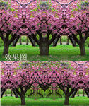 樱花树背景高清动态视频