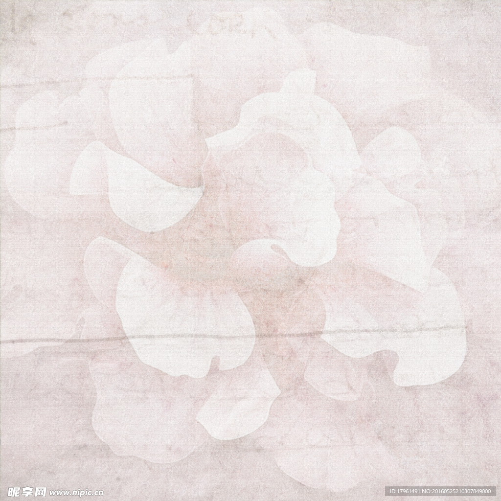 白色鲜花背景