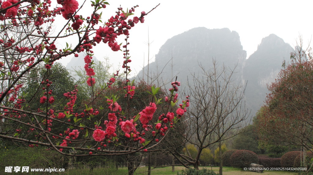 芦笛岩景区