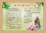 教师文明用语20句